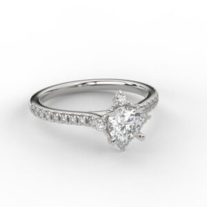 The Aurora Halo Collection